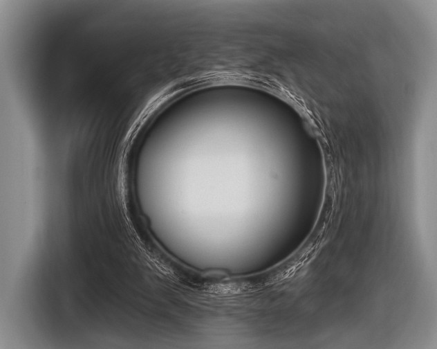 X0000116550103200912171357