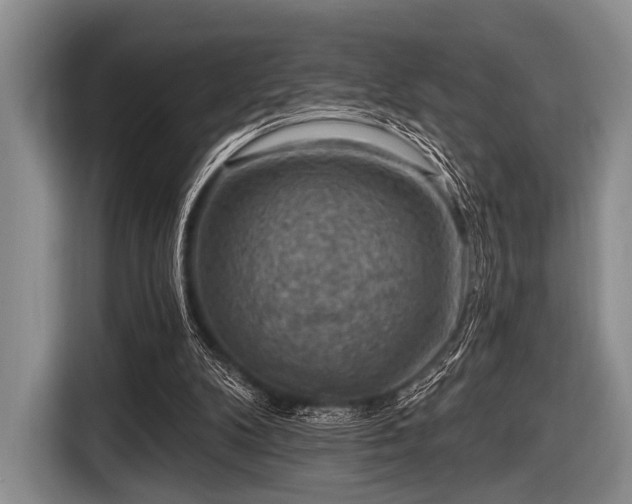 X0000116550104200912171357