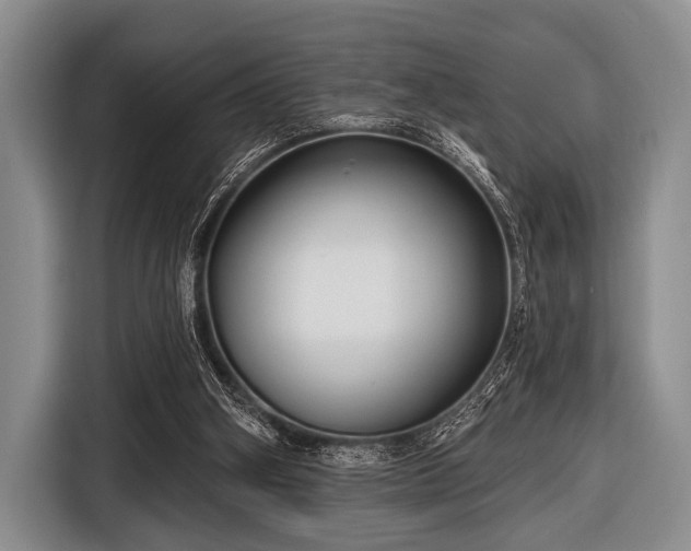 X0000116550106200912171357