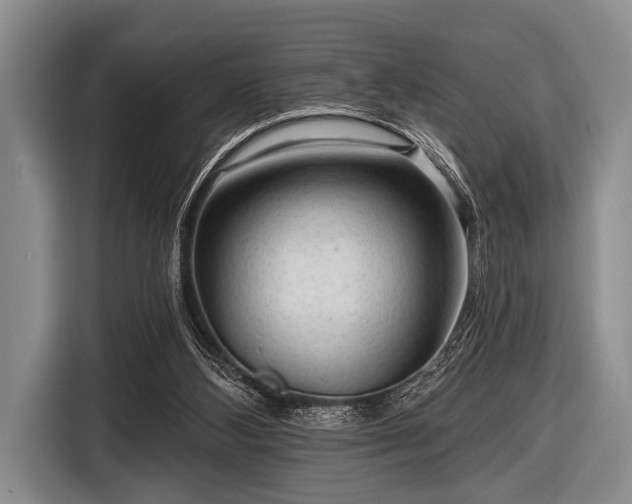 X0000116550108200912171357