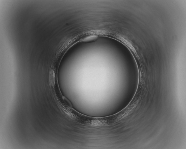 X0000116550109200912171357