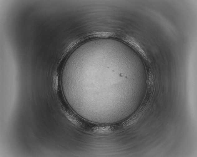 X0000116550110200912171357