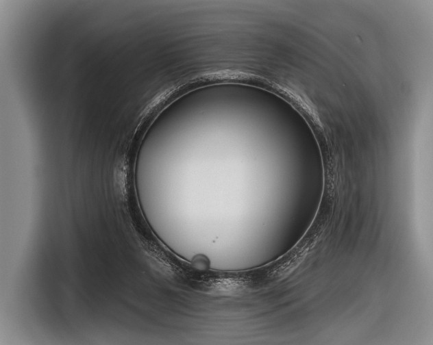 X0000116550111200912171357