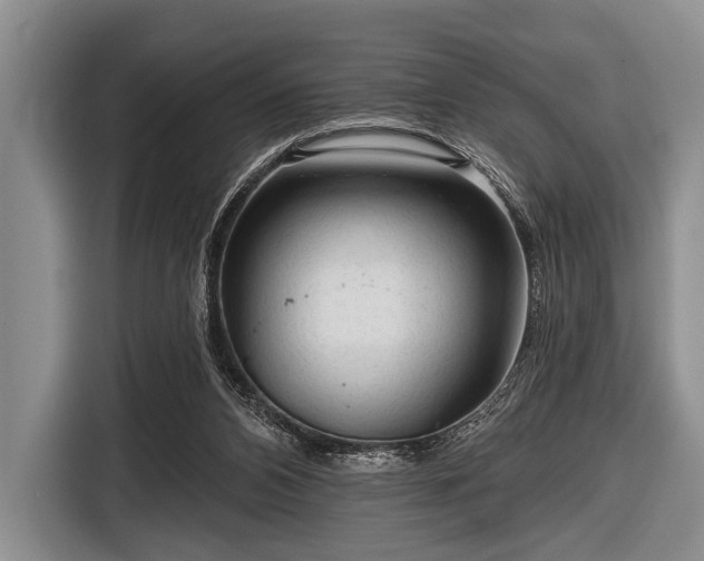 X0000116550112200912171357