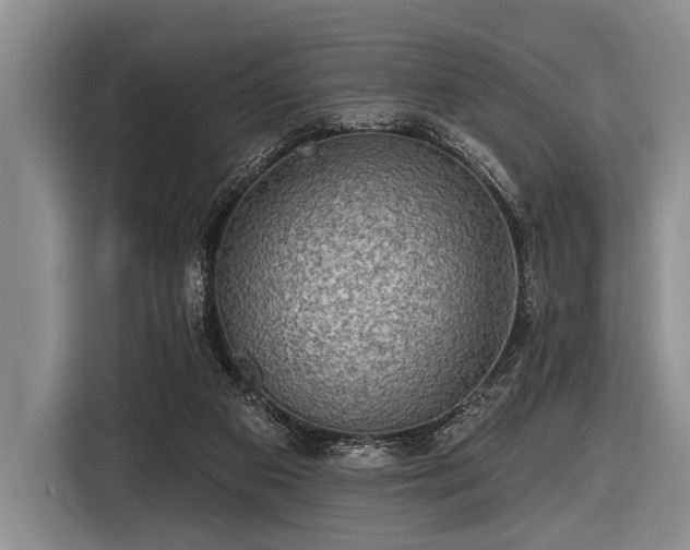 X0000116550113200912171357