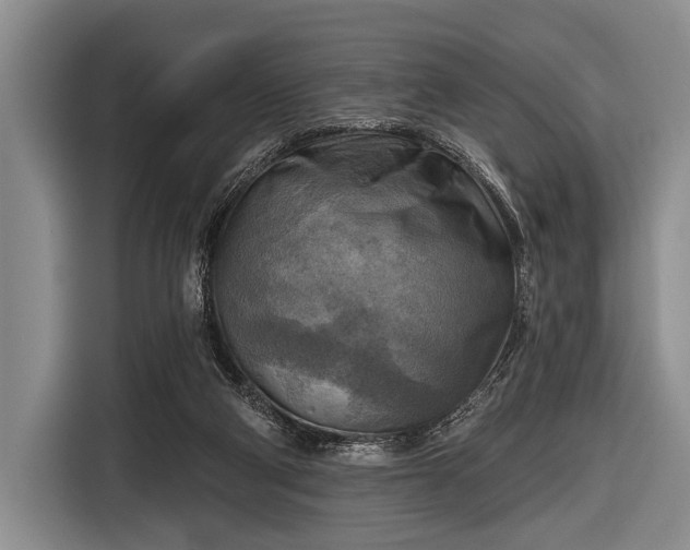 X0000116550114200912171357