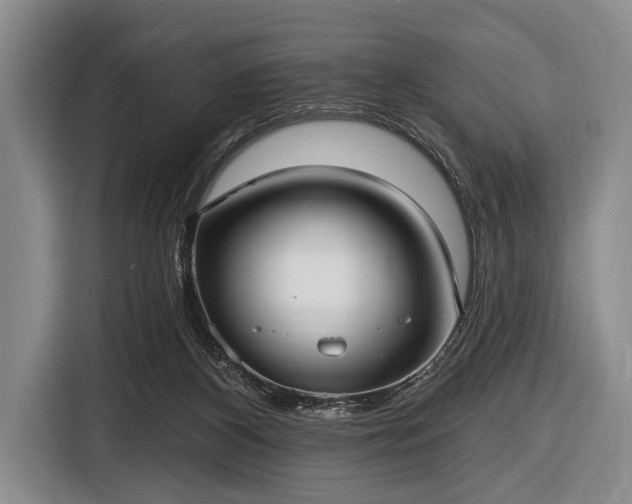 X0000116550116200912171357