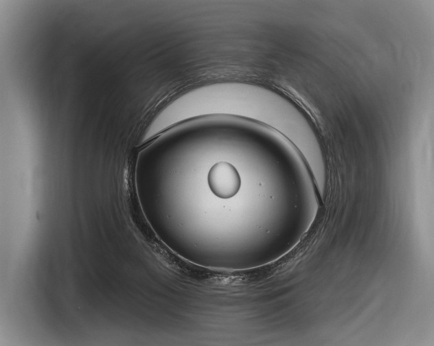 X0000116550117200912171357