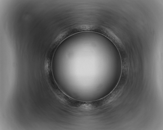 X0000116550119200912171357