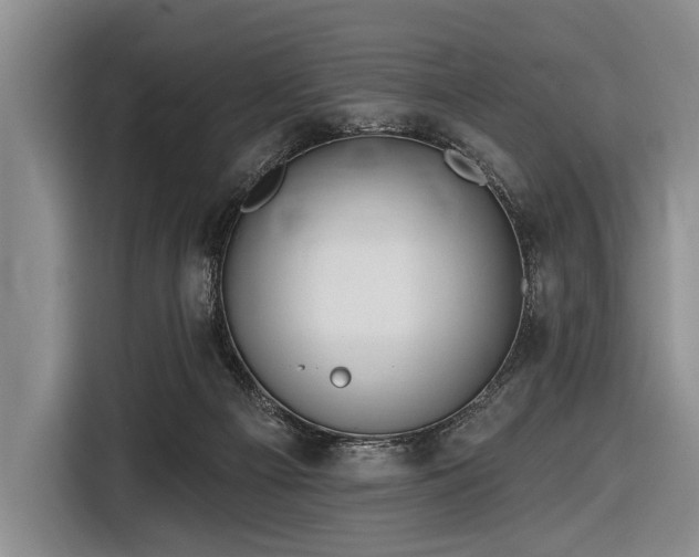 X0000116550121200912171357