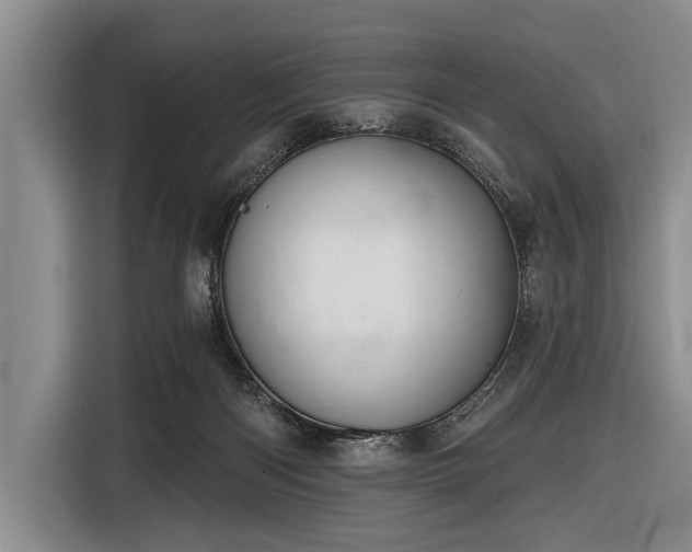 X0000116550122200912171357