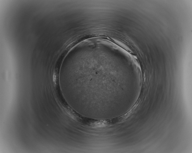 X0000116550124200912171357