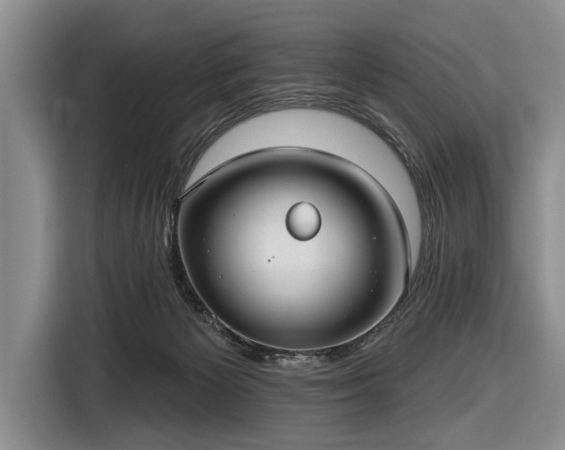 X0000116550125200912171357