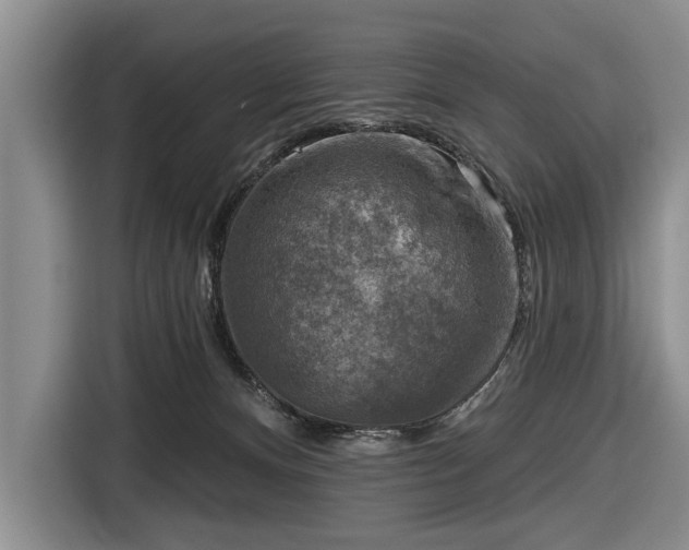 X0000116550128200912171357