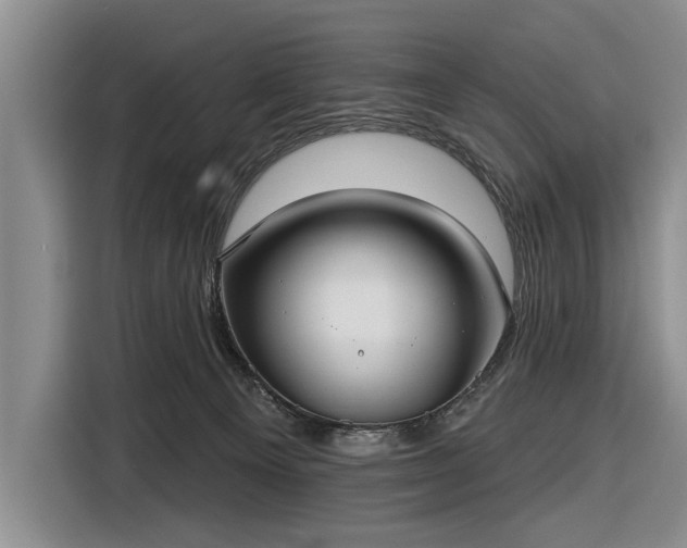 X0000116550129200912171357