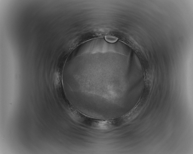 X0000116550130200912171357