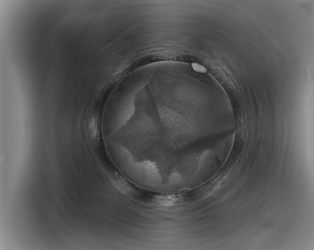 X0000116550131200912171357