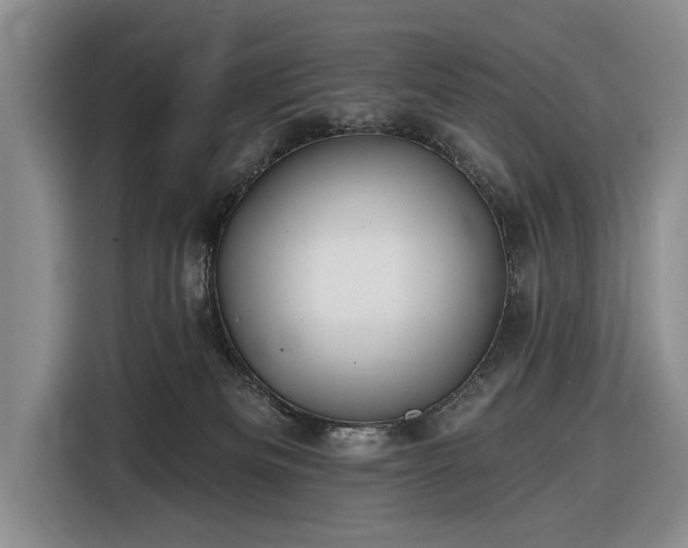 X0000116550133200912171357