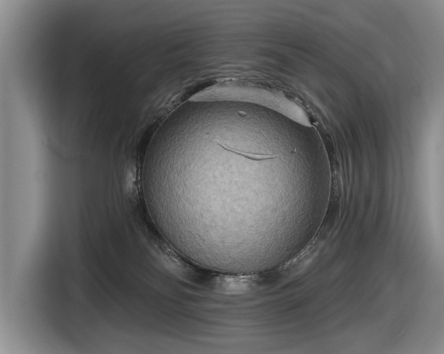 X0000116550134200912171357