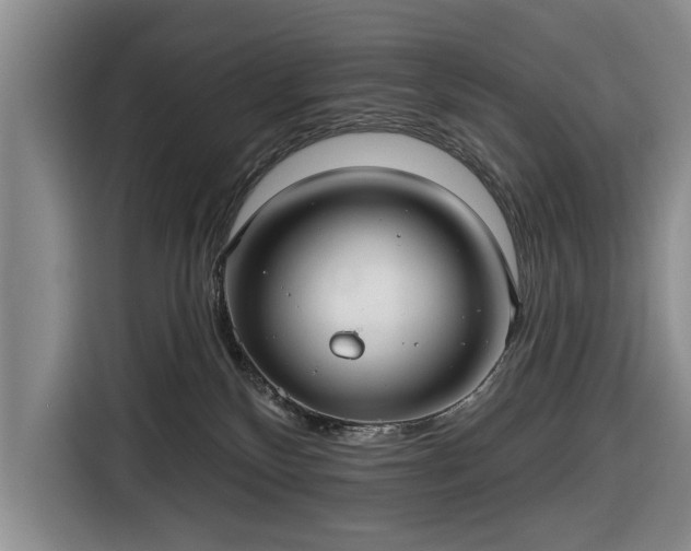 X0000116550136200912171357