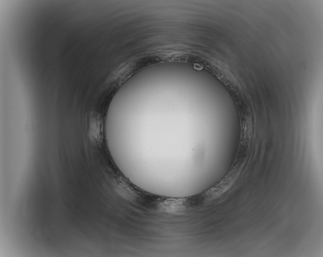 X0000116550138200912171357