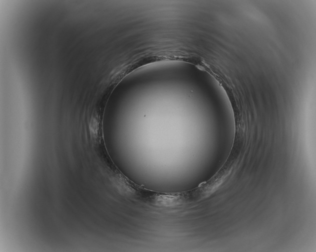 X0000116550139200912171357