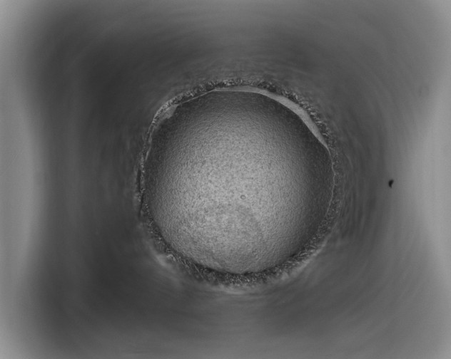 X0000116550144200912171356