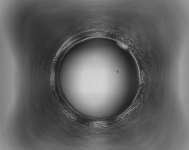 X0000116550150200912171356