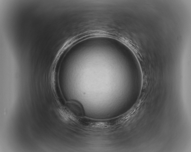 X0000116550151200912171356