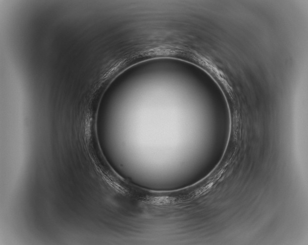 X0000116550153200912171356