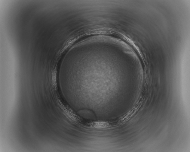 X0000116550154200912171356