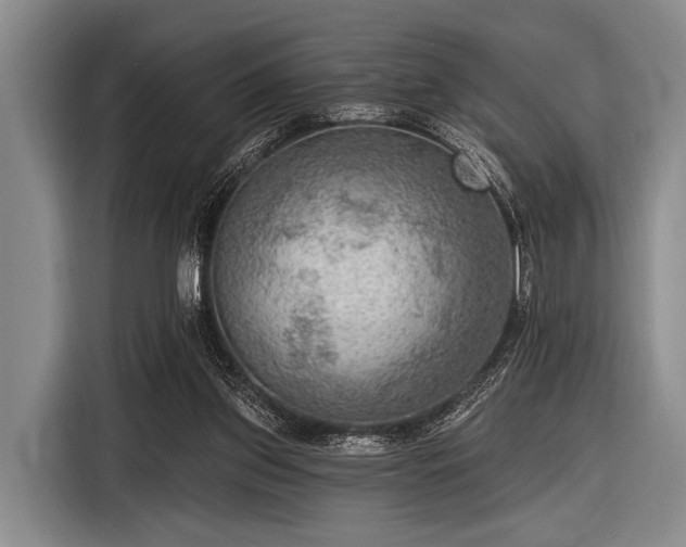 X0000116550157200912171356