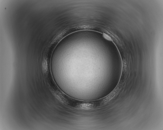 X0000116550158200912171356