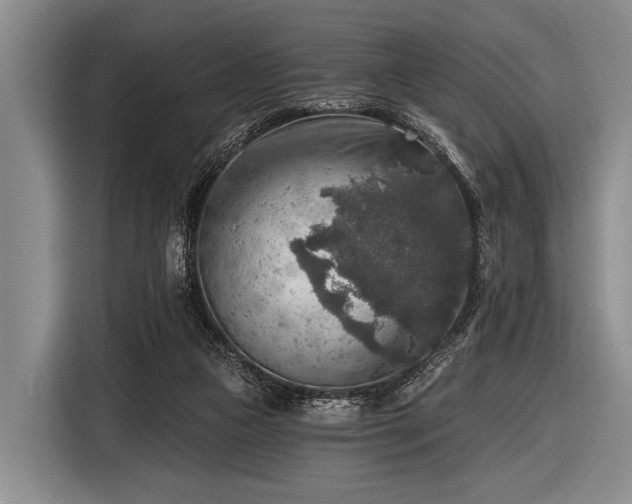 X0000116550161200912171356