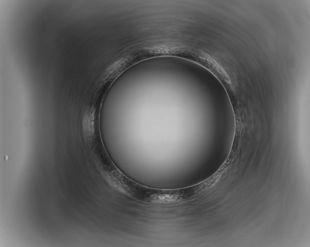 X0000116550163200912171356