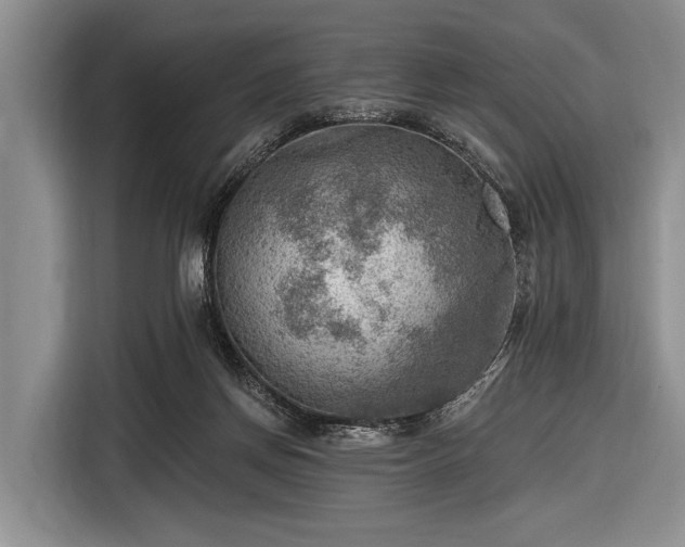 X0000116550166200912171356