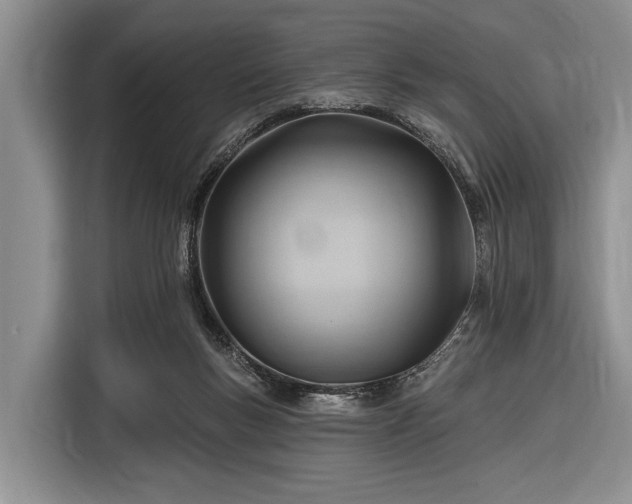 X0000116550167200912171356