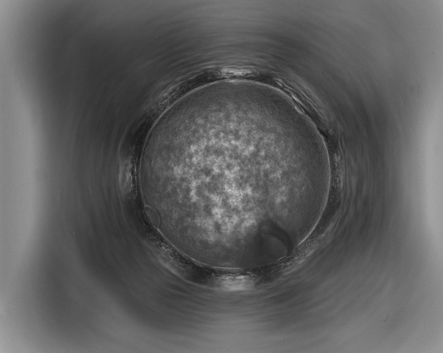 X0000116550169200912171356