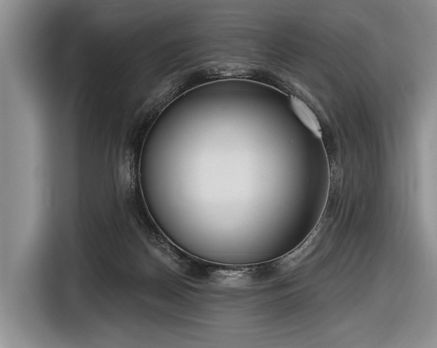 X0000116550170200912171356