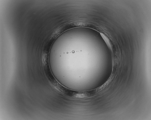 X0000116550171200912171356