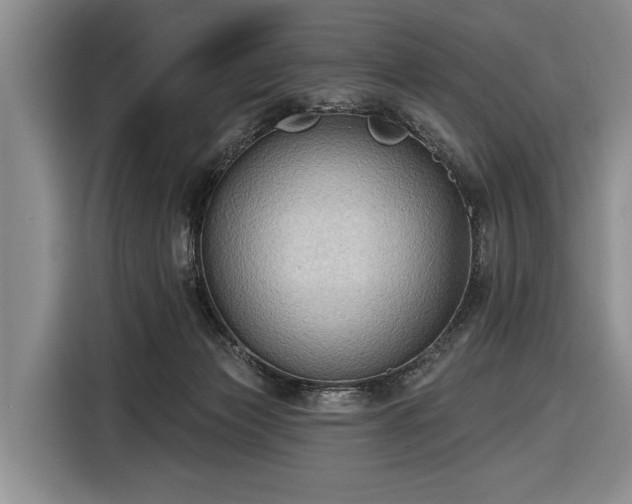 X0000116550173200912171356