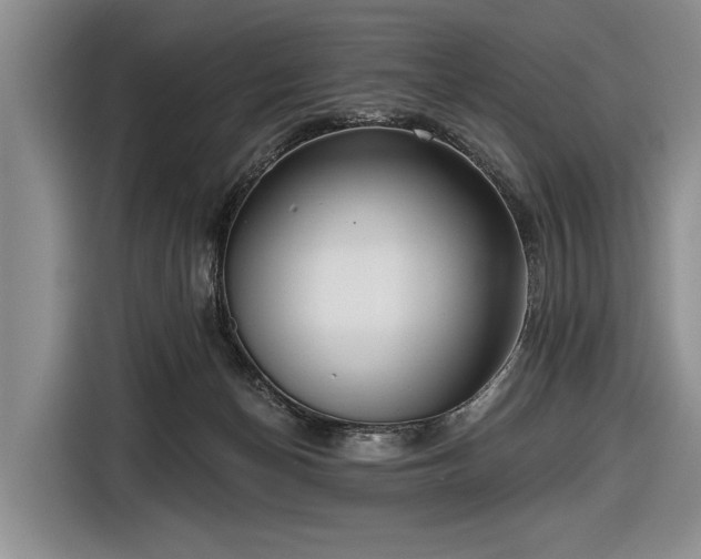 X0000116550174200912171356