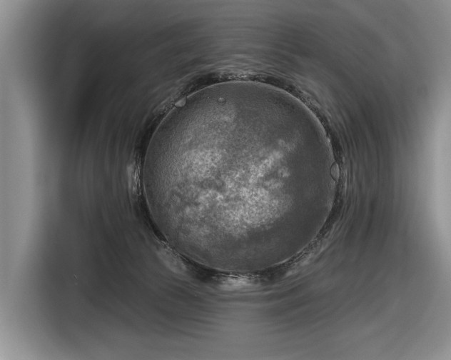 X0000116550177200912171356