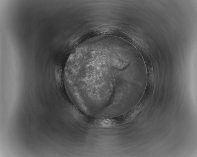 X0000116550181200912171356