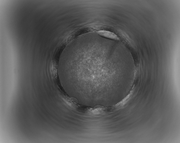 X0000116550186200912171356