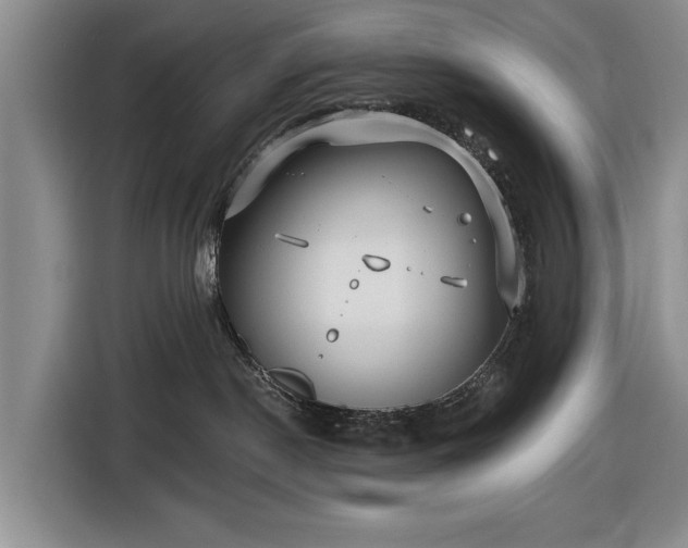 X0000116550190200912171356