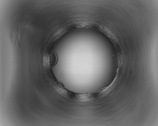 X0000116550191200912171356