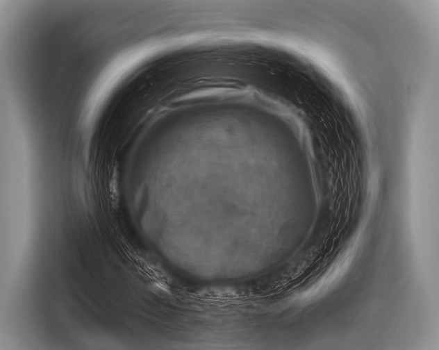 X0000116550194200912171356