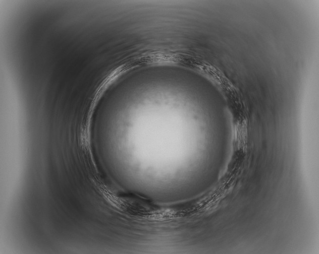 X0000116550195200912171356