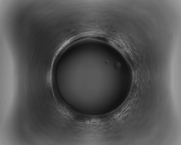 X0000116550196200912171356